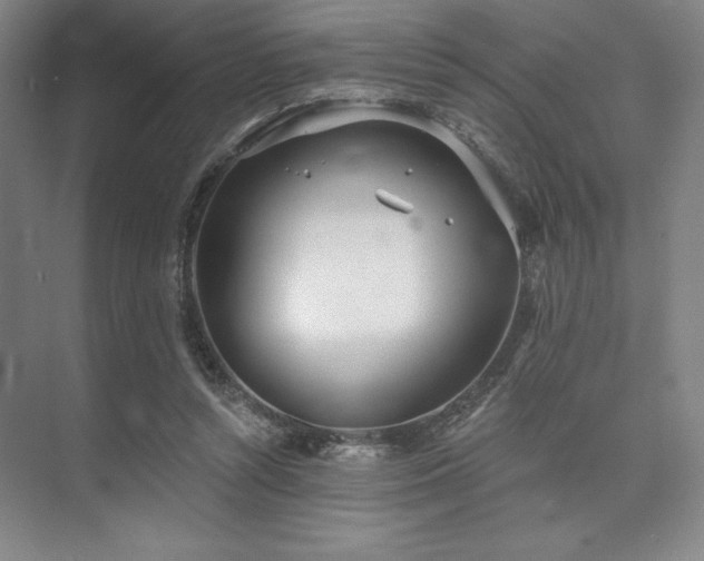 X0000073870352200608101515