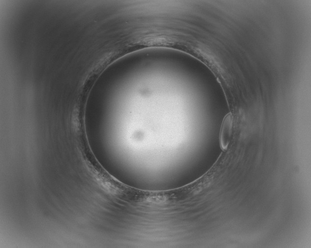 X0000073870353200608101515