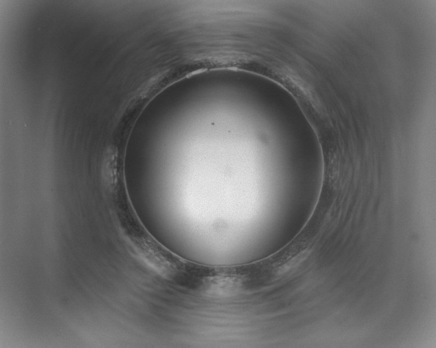 X0000073870356200608101515