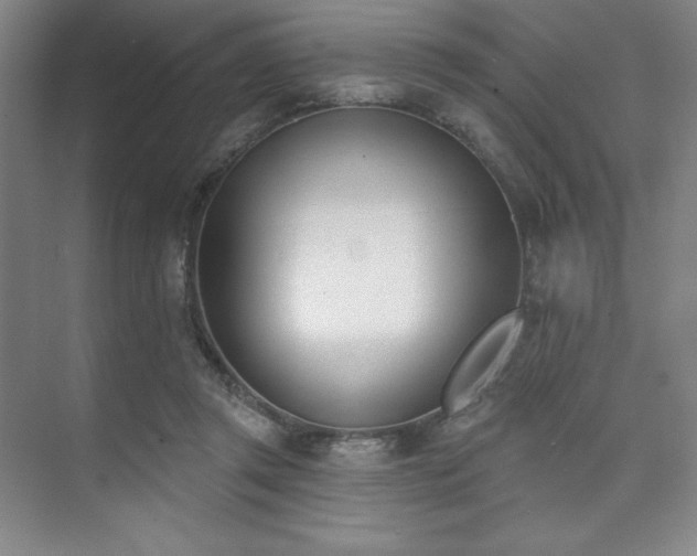 X0000073870357200608101515