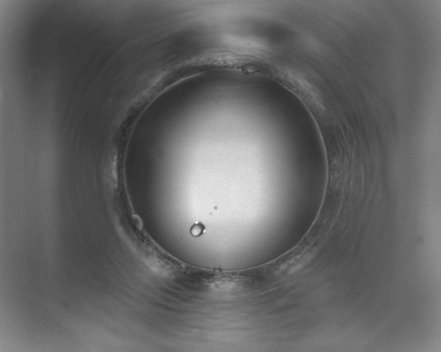 X0000073870358200608101515