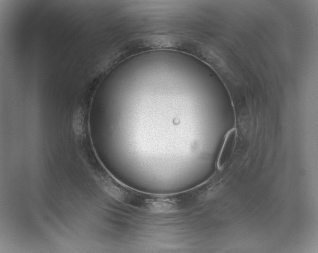 X0000073870359200608101516