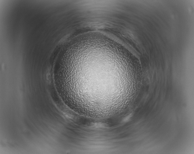 X0000073870360200608101516