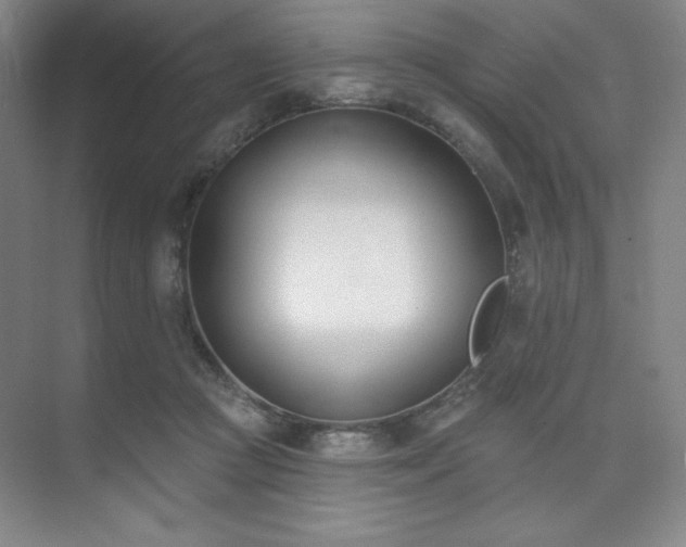 X0000073870361200608101516