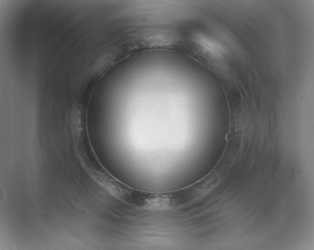 X0000073870362200608101516