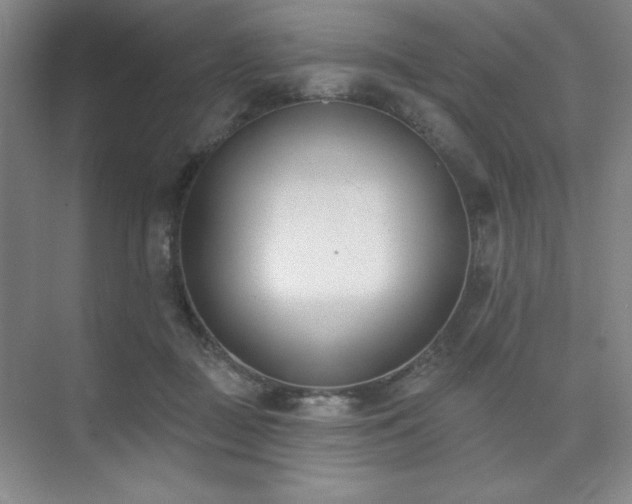 X0000073870363200608101516