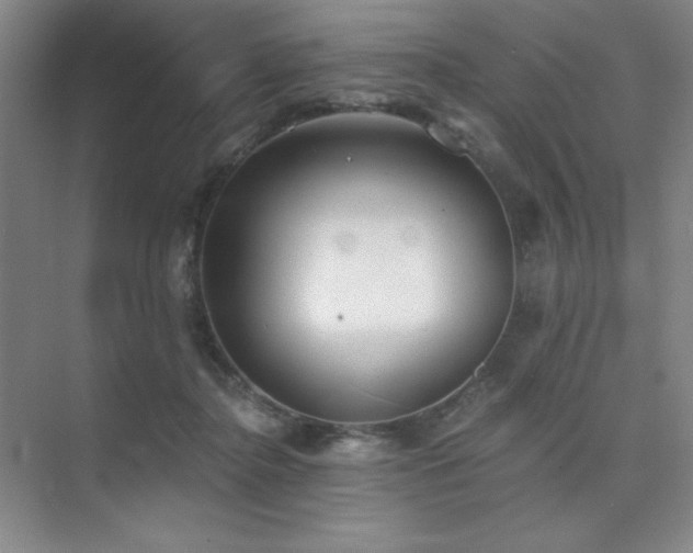 X0000073870364200608101516