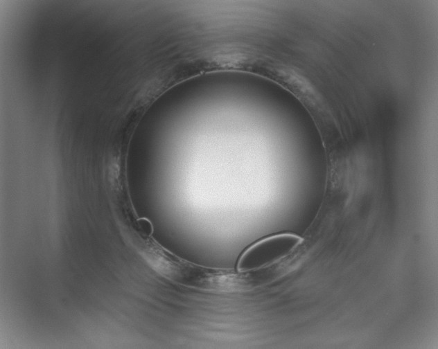 X0000073870365200608101516