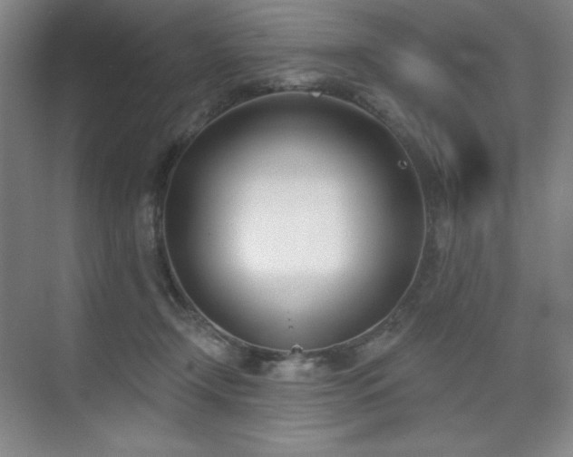 X0000073870366200608101516