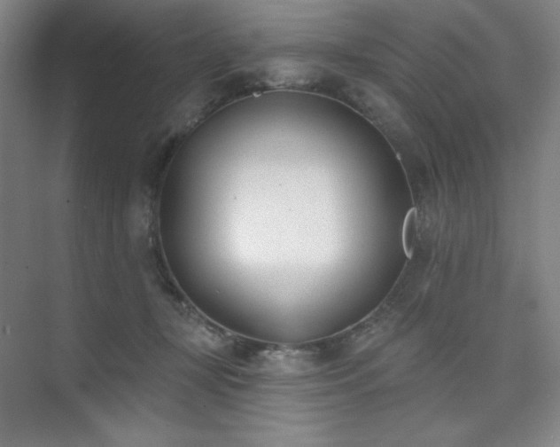 X0000073870367200608101516