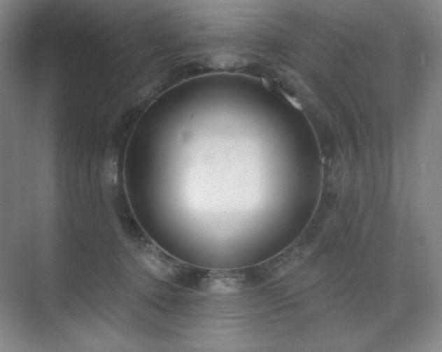 X0000073870368200608101516