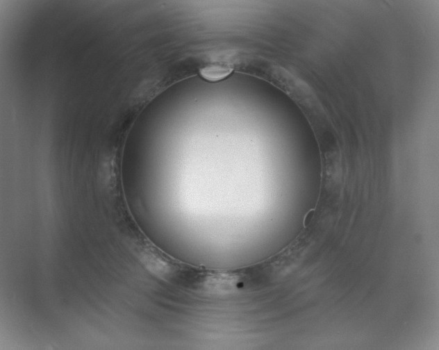 X0000073870369200608101516