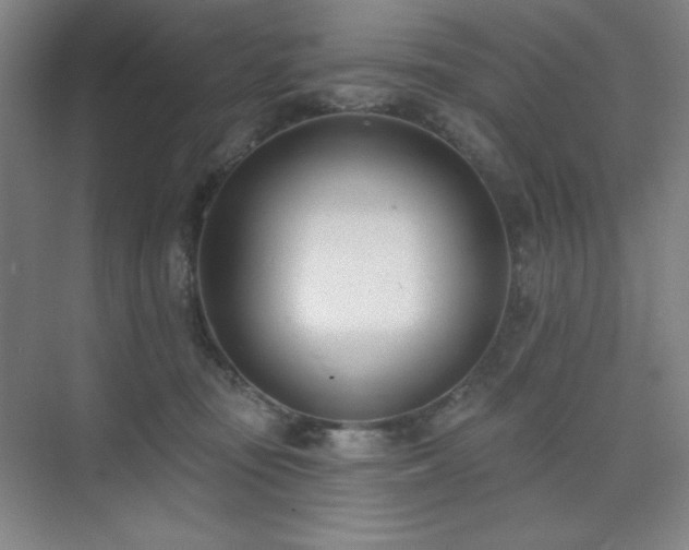 X0000073870371200608101516