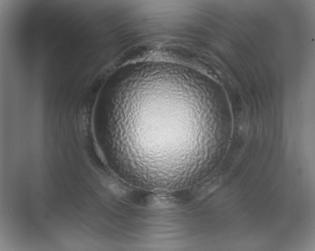 X0000073870372200608101516