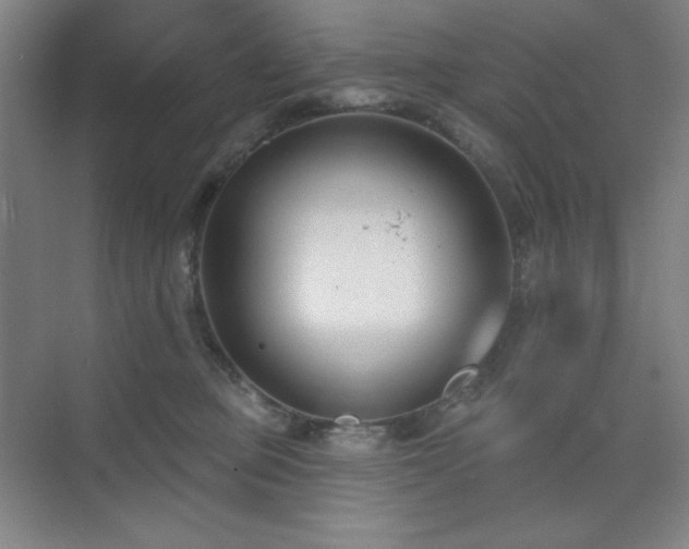 X0000073870373200608101516