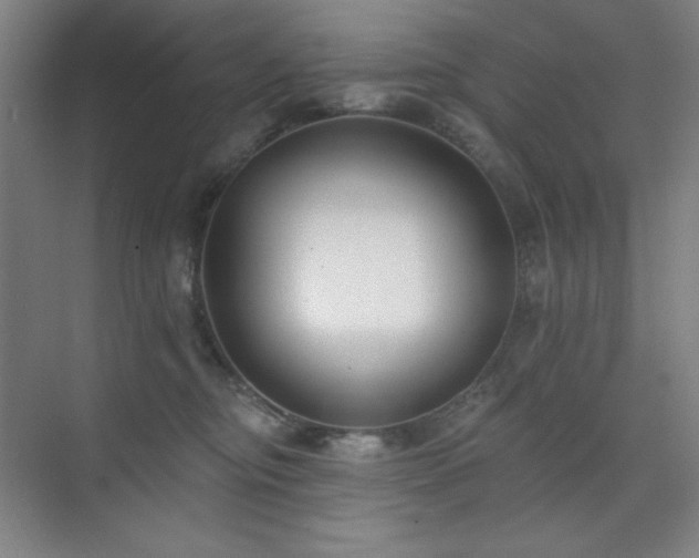 X0000073870374200608101516