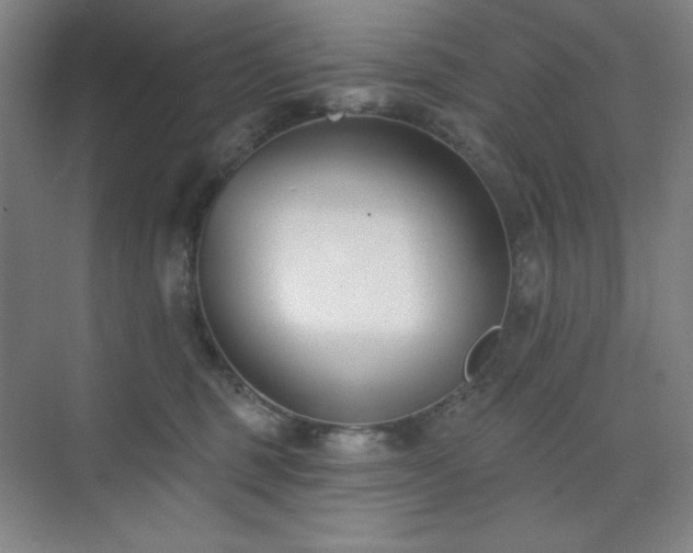 X0000073870375200608101516