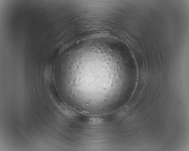 X0000073870376200608101516