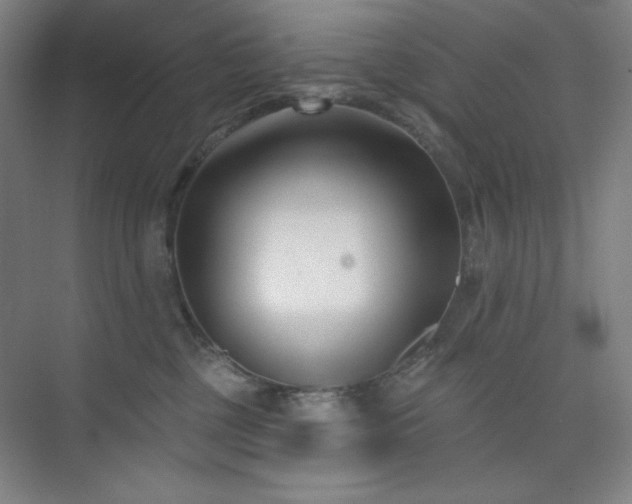 X0000073870377200608101516