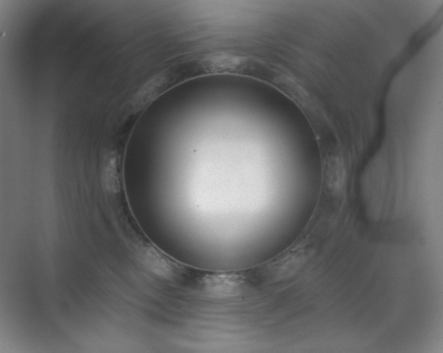 X0000073870378200608101516