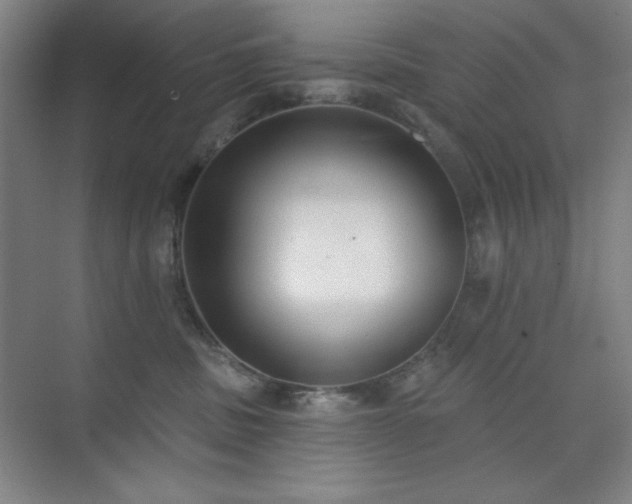 X0000073870379200608101516