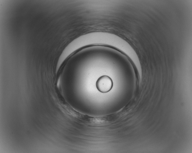 X0000073870380200608101516