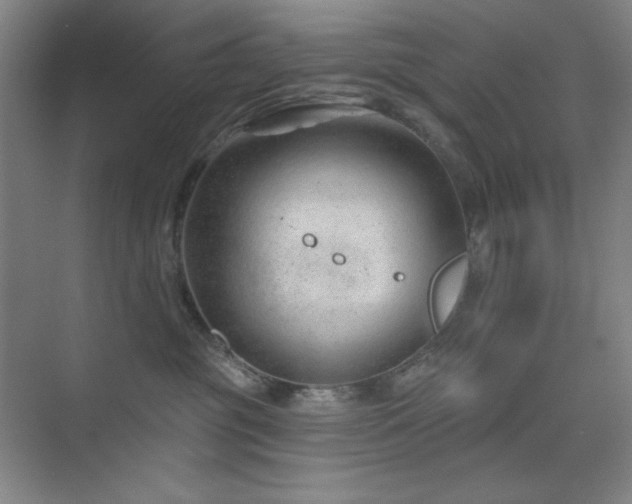 X0000073870381200608101516