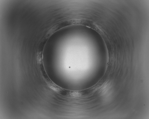 X0000073870383200608101516