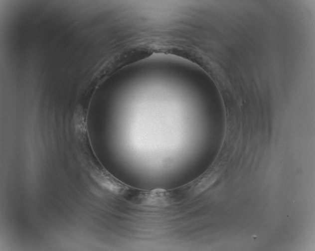 X0000073870384200608101516