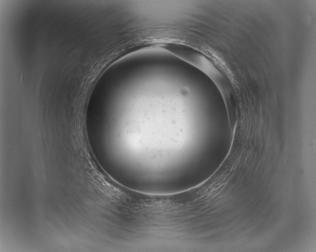 X0000073870385200608101515