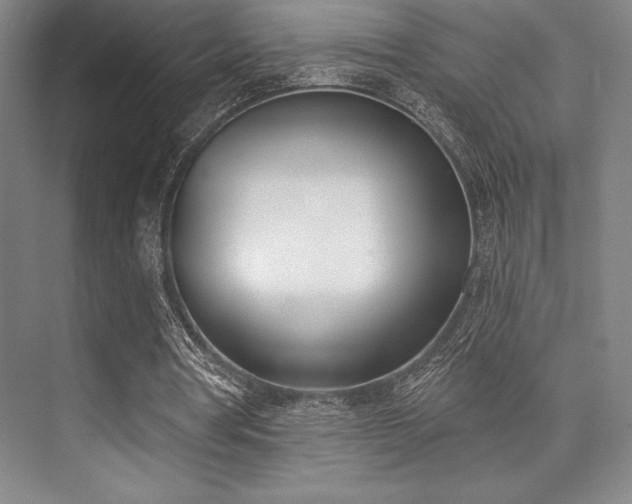 X0000073870386200608101515