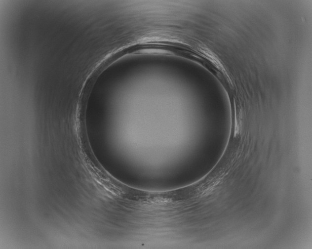 X0000073870387200608101515