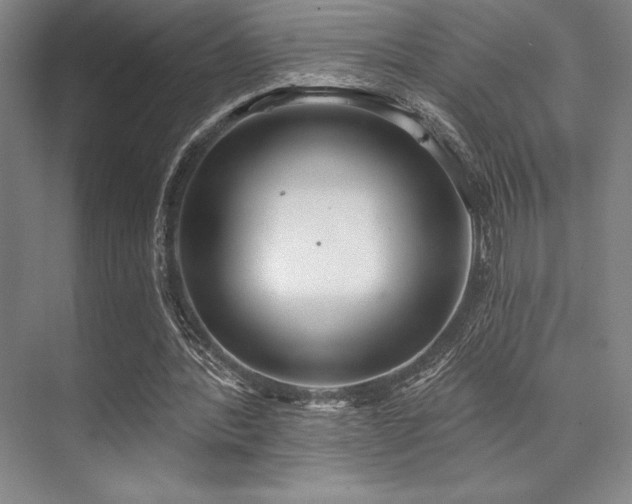 X0000073870388200608101515