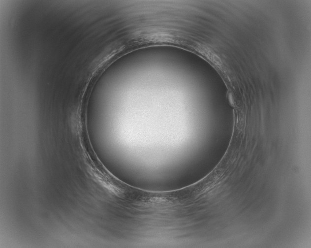 X0000073870390200608101515