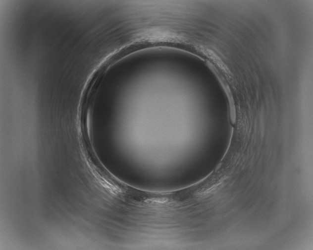 X0000073870391200608101515