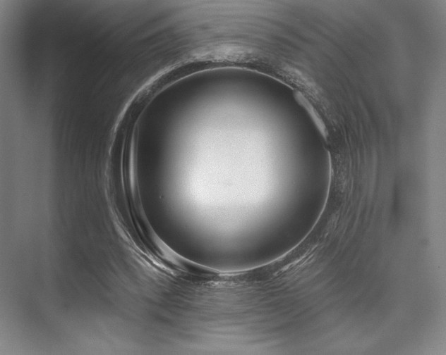 X0000073870392200608101515