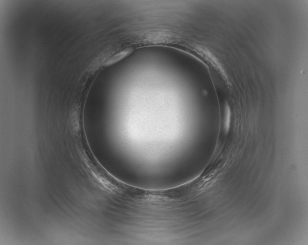 X0000073870393200608101515