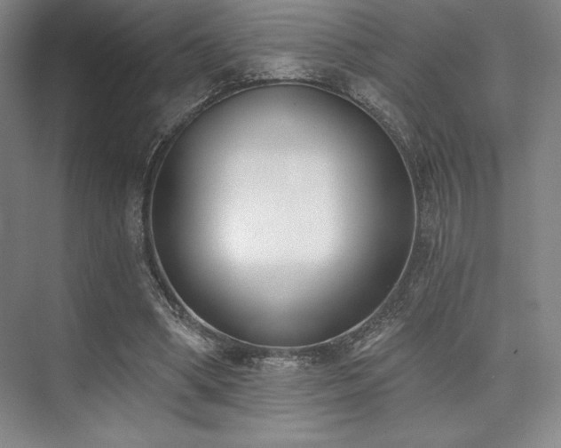 X0000073870394200608101515