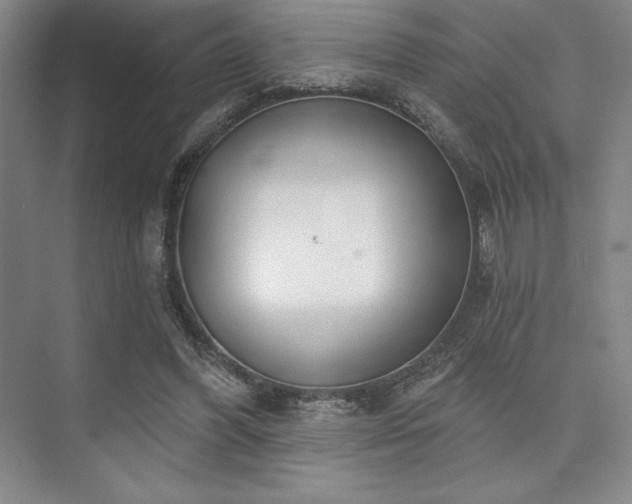 X0000073870396200608101515