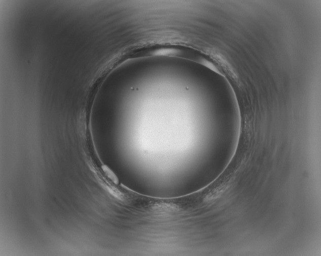 X0000073870397200608101515