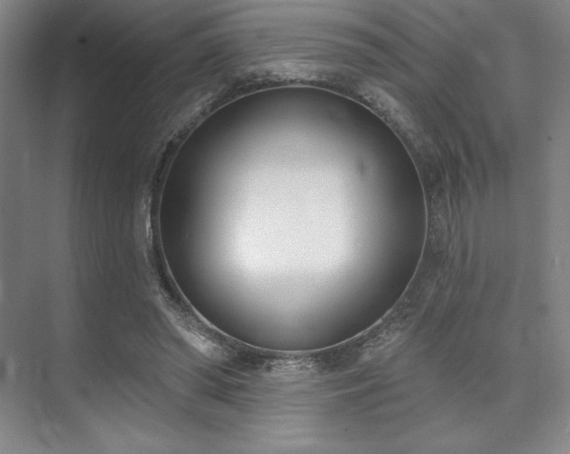 X0000073870398200608101515