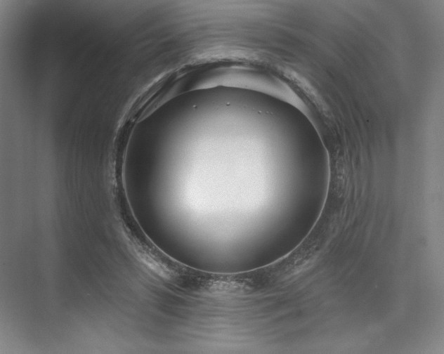 X0000073870399200608101515