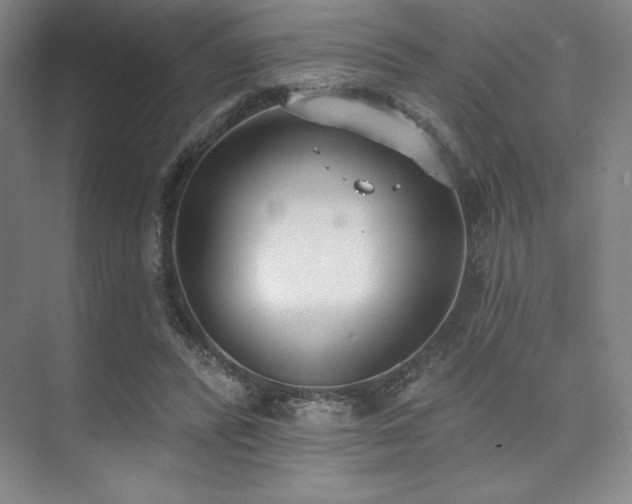 X0000073870400200608101515