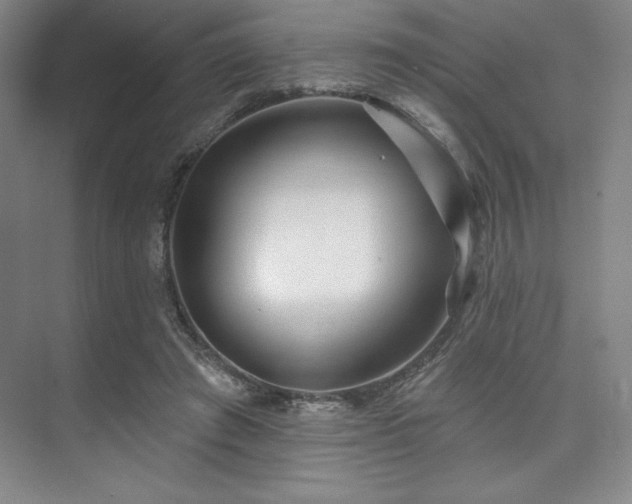 X0000073870401200608101515