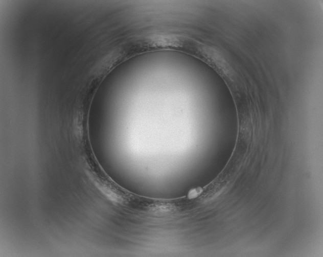 X0000073870402200608101515