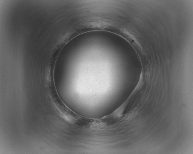 X0000073870403200608101515