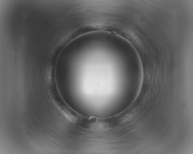 X0000073870404200608101515