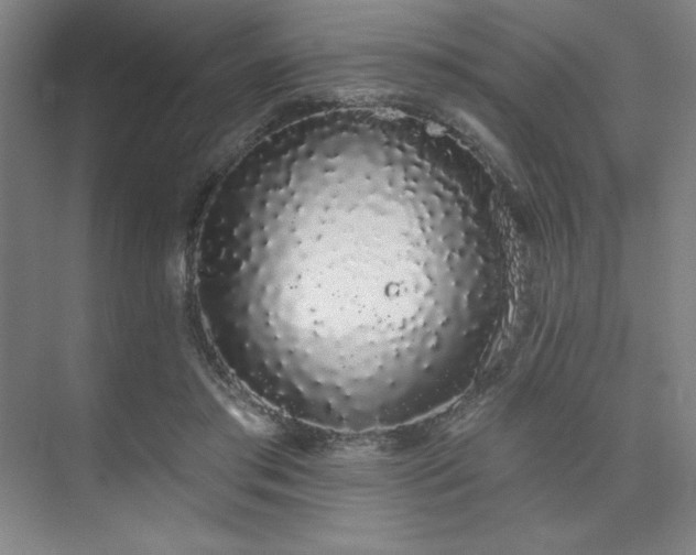 X0000073870405200608101515