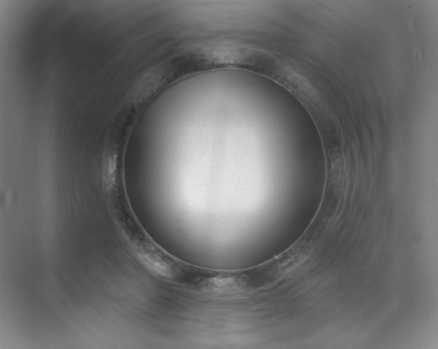 X0000073870406200608101515