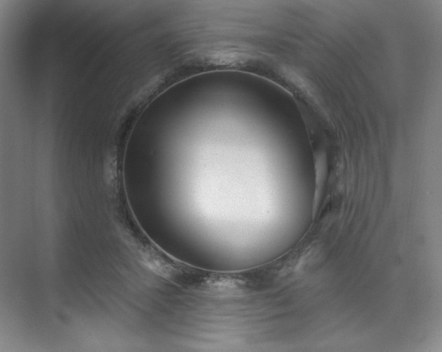 X0000073870407200608101515